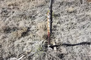 973 Conejos Trails, Antonito, CO 81120 - Photo 39