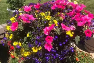 3191 S Holly Pl, Denver, CO 80222 - Photo 33