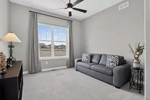 15217 Roslyn St, Thornton, CO 80602 - Photo 21