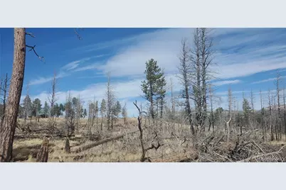 Lot 585 Leslie Loop, Fort Garland, CO 81133 - Photo 13