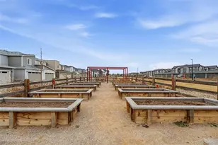 12335 Festival Ln, Northglenn, CO 80241 - Photo 41