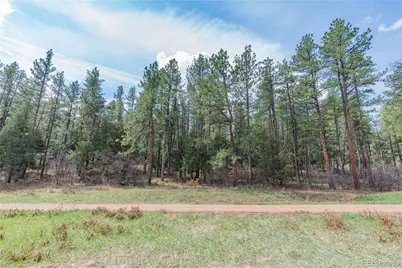 8257 Bannock Drive, Larkspur, CO 80118 - Photo 9