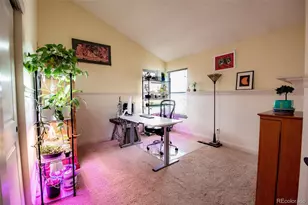 4855 N Sungold Ln, Castle Rock, CO 80109 - Photo 21