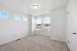 4486 Elegant St, Castle Rock, CO 80109 - Photo 17