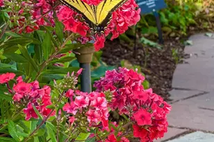 1243 N Gaylord St, Denver, CO 80206 - Photo 43