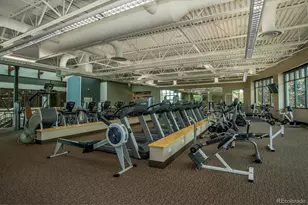 8615 Gold Peak Pl, Highlands Ranch, CO 80130 - Photo 23