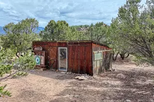 30350 Co Rd 383, Buena Vista, CO 81211 - Photo 43