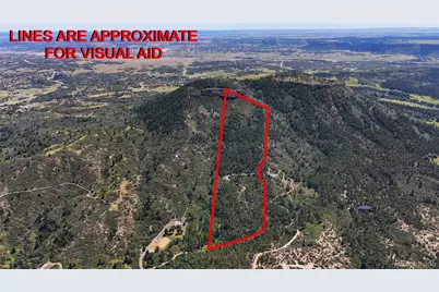 5080 S Perry Park Road, Sedalia, CO 80135 - Photo 5