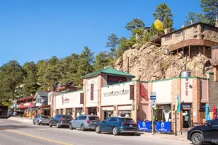 4805 S Blue Spruce Rd, Evergreen, CO 80439 - Photo 41