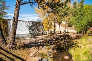 4805 S Blue Spruce Rd, Evergreen, CO 80439 - Photo 39