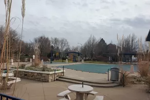 3814 Sky Gazer Ln, Fort Collins, CO 80528 - Photo 41