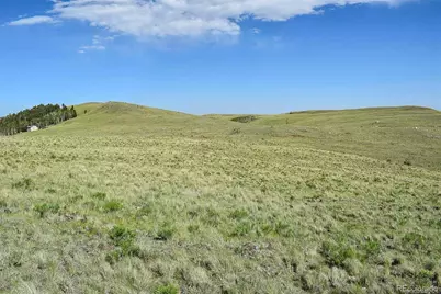 00 Bear Cat Road, Guffey, CO 80820 - Photo 43