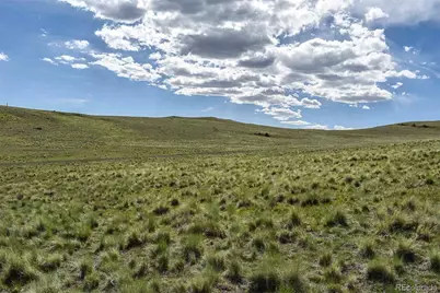 00 Bear Cat Road, Guffey, CO 80820 - Photo 29