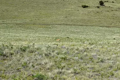 00 Bear Cat Road, Guffey, CO 80820 - Photo 5