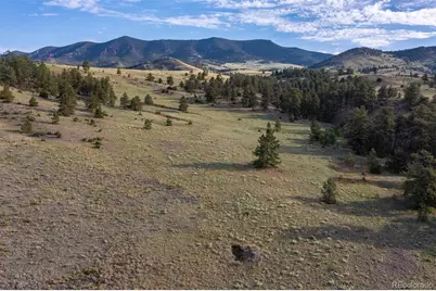 0 Big Buck Road, Guffey, CO 80820 - Photo 5