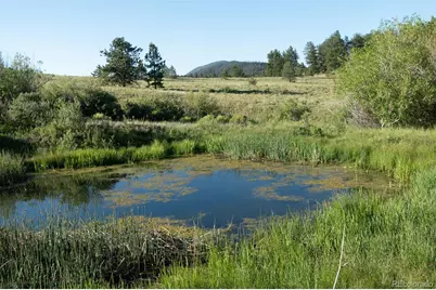 0 Big Buck Road, Guffey, CO 80820 - Photo 45