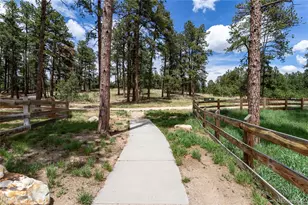 1678 Lazy Cat Ln, Monument, CO 80132 - Photo 39
