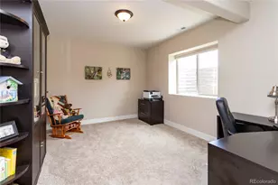 1678 Lazy Cat Ln, Monument, CO 80132 - Photo 33