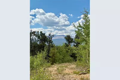 0 Beaver Creek Road, Alma, CO 80420 - Photo 23