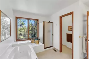 21556 Spring Creek Trail, Pine, CO 80425 - Photo 17