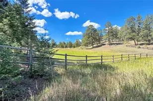21556 Spring Creek Trail, Pine, CO 80425 - Photo 49