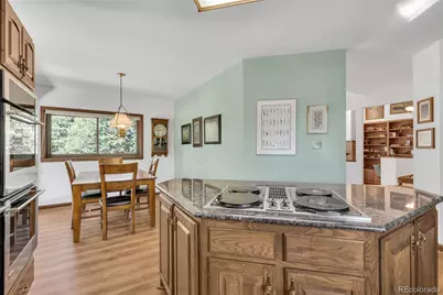 21556 Spring Creek Trail, Pine, CO 80425 - Photo 11