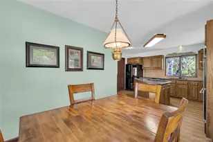21556 Spring Creek Trail, Pine, CO 80425 - Photo 13