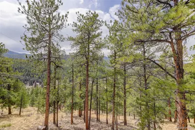 [Address not provided], Bailey, CO  - Photo 21