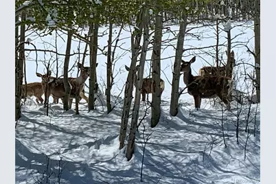 Michigan Hill Road, Jefferson, CO 80456 - Photo 5