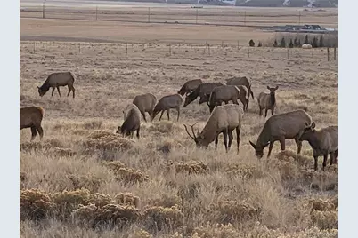 Michigan Hill Road, Jefferson, CO 80456 - Photo 15