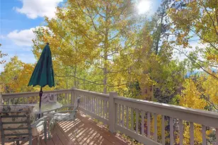 28 Sky Pilot Dr, Silverthorne, CO 80498 - Photo 7