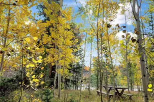 28 Sky Pilot Dr, Silverthorne, CO 80498 - Photo 41