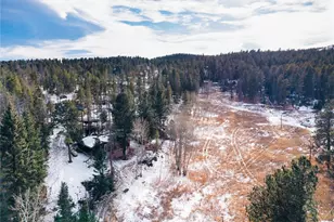 10783 Fox Trot Ln, Conifer, CO 80433 - Photo 33
