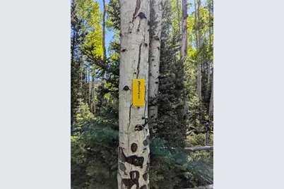 3119-3121 Segal Place, Fort Garland, CO 81133 - Photo 13