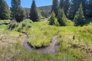 3119-3121 Segal Pl, Fort Garland, CO 81133 - Photo 1