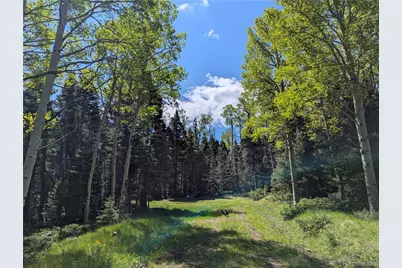 3119-3121 Segal Place, Fort Garland, CO 81133 - Photo 15