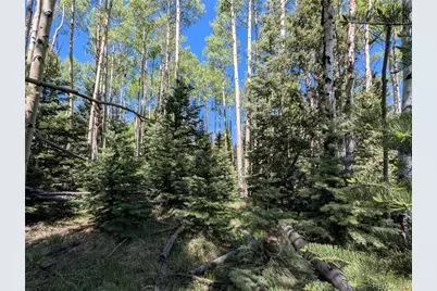 3119-3121 Segal Place, Fort Garland, CO 81133 - Photo 17