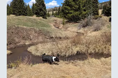 3119-3121 Segal Place, Fort Garland, CO 81133 - Photo 7