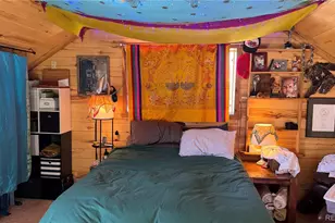 412 E 2nd St, Leadville, CO 80461 - Photo 35