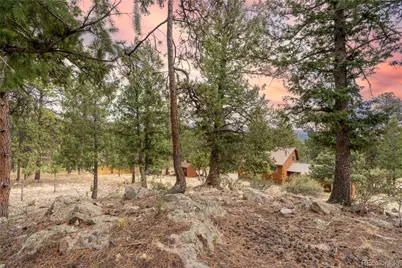 43 Doe Circle, Bailey, CO 80421 - Photo 27