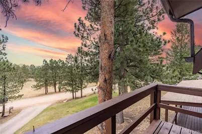 43 Doe Circle, Bailey, CO 80421 - Photo 19