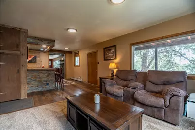 43 Doe Circle, Bailey, CO 80421 - Photo 9