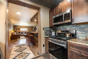 43 Doe Cir, Bailey, CO 80421 - Photo 7