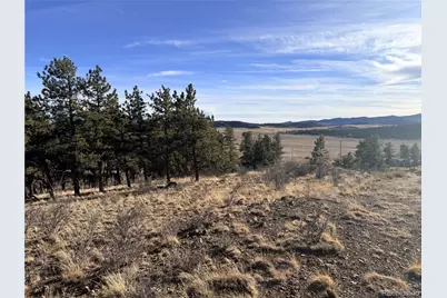 729 Bridle Path, Hartsel, CO 80449 - Photo 5