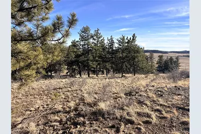 729 Bridle Path, Hartsel, CO 80449 - Photo 9