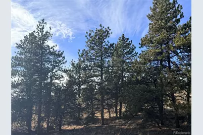 729 Bridle Path, Hartsel, CO 80449 - Photo 23