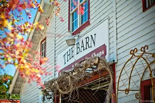 1272 Ballata Ct, Castle Rock, CO 80109 - Photo 27