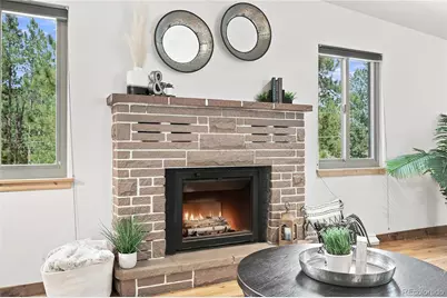 28609 Pine Drive, Evergreen, CO 80439 - Photo 13
