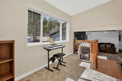 104 Pinon Road, Bailey, CO 80421 - Photo 19