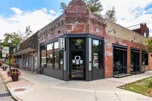 1451 S Columbine St, Denver, CO 80210 - Photo 43